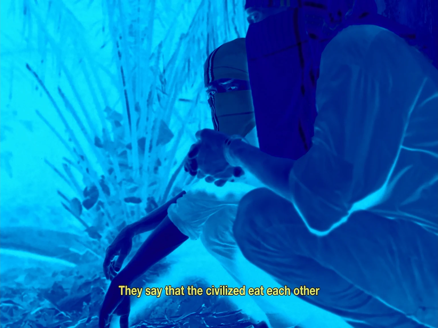 Three masked bandits crouching among branches in a blue inverted film still
