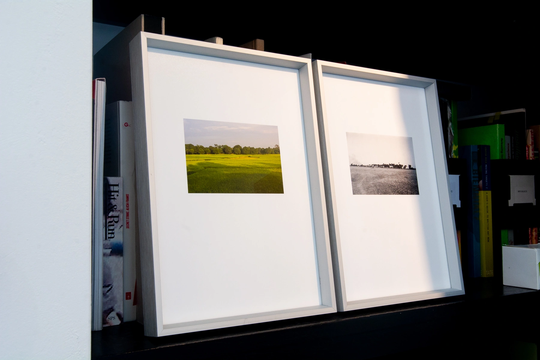 Two framed landscape photographs titled Land Images