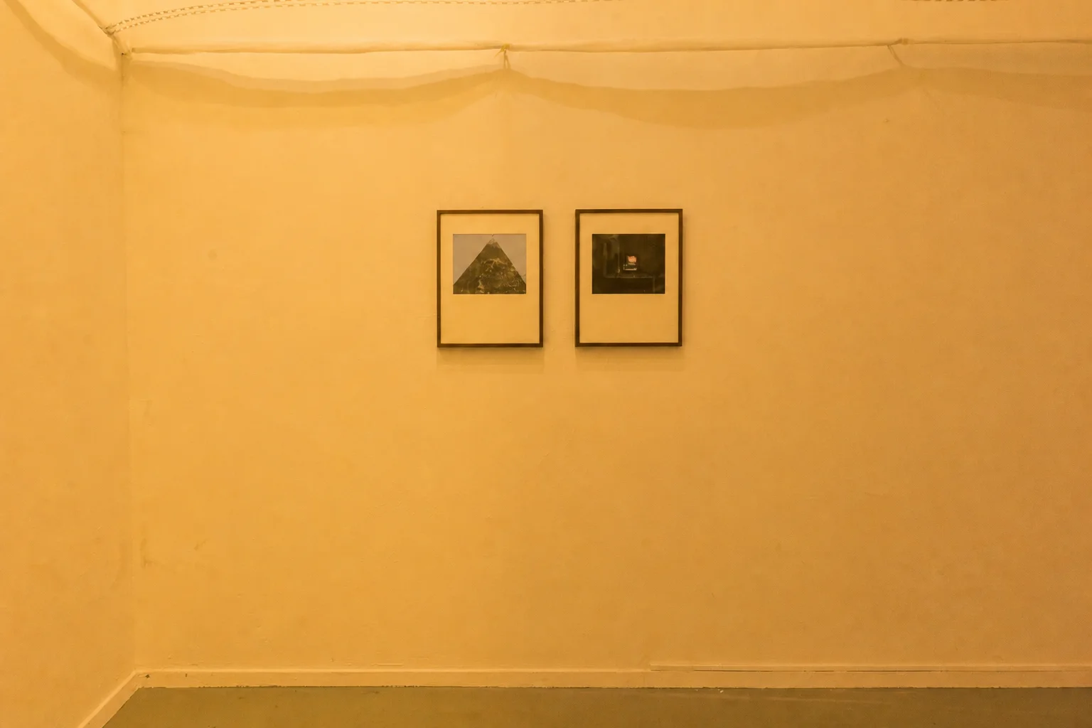 Netting above two framed photographs in an installation view